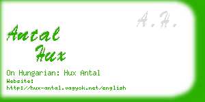 antal hux business card